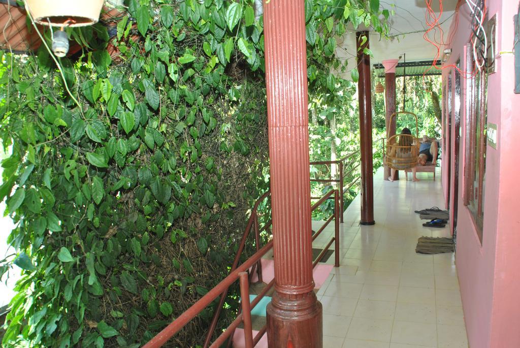 Jungleparadiso Homestay เทกคาดี ภายนอก รูปภาพ