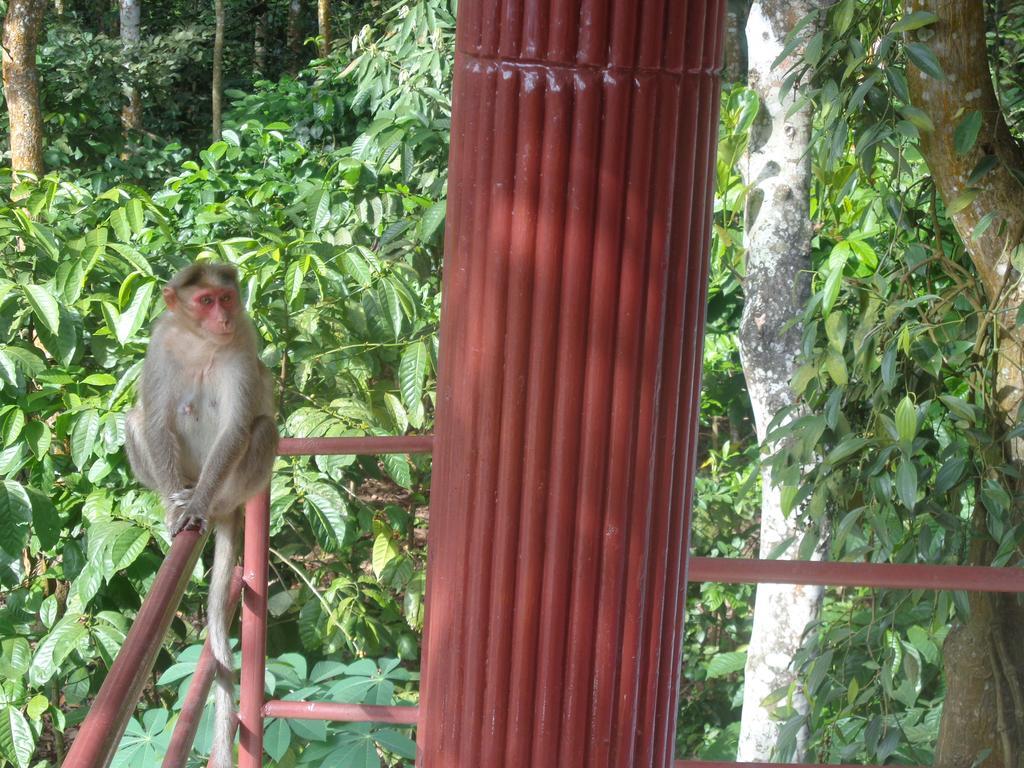 Jungleparadiso Homestay เทกคาดี ภายนอก รูปภาพ