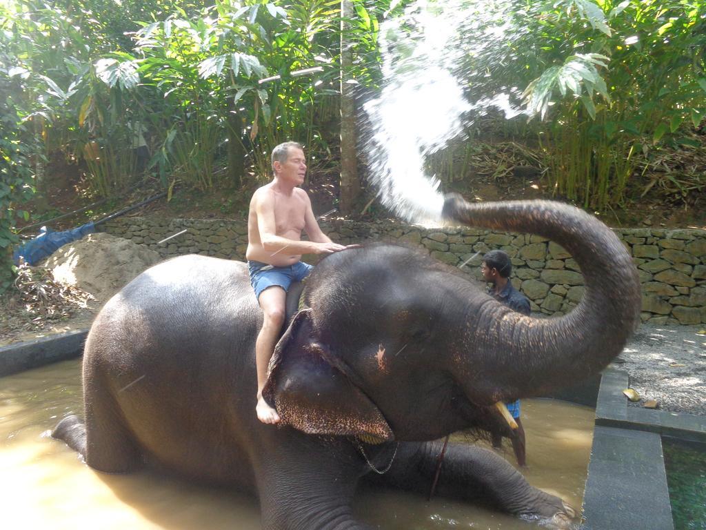 Jungleparadiso Homestay เทกคาดี ภายนอก รูปภาพ