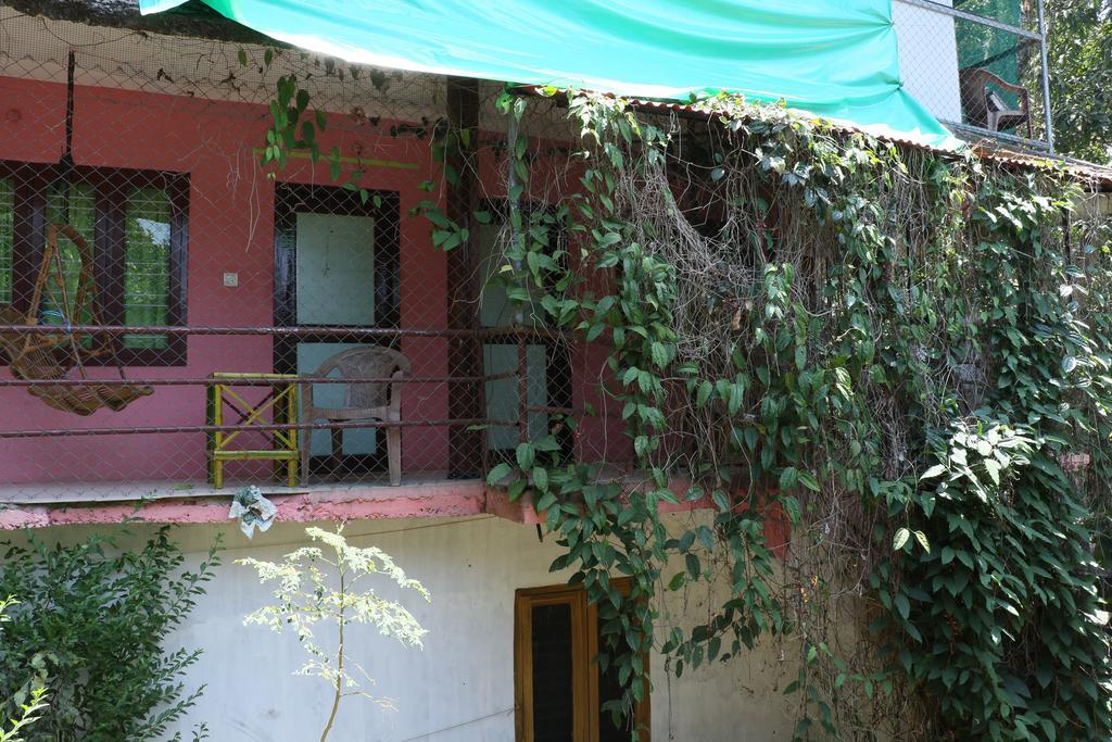 Jungleparadiso Homestay เทกคาดี ภายนอก รูปภาพ
