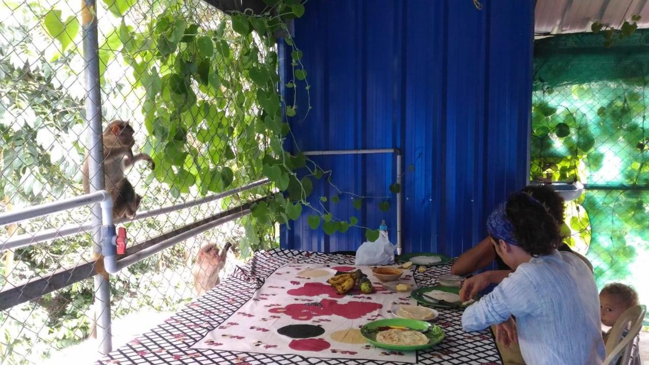 Jungleparadiso Homestay เทกคาดี ภายนอก รูปภาพ